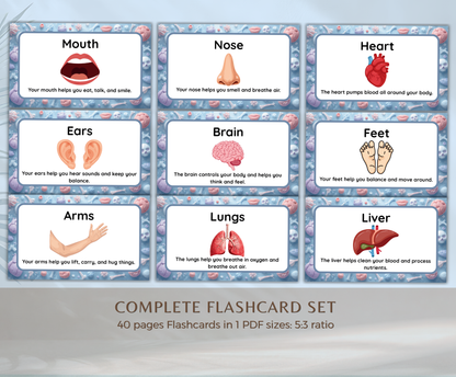 Body Parts Flashcards | Printable Human Anatomy Study Cards PDF for Kids & Students