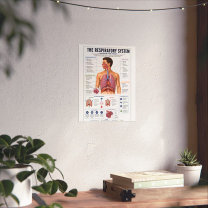 Respiratory System Anatomy Poster - Educational Fine Art Medical Print