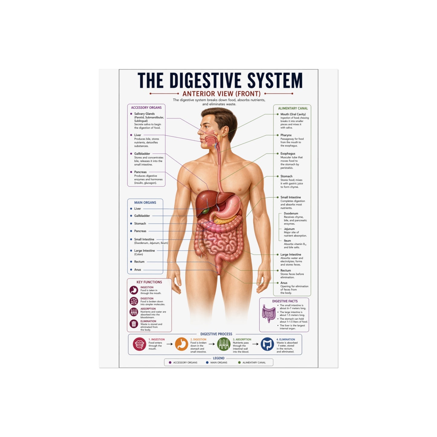 Fine Art Posters
