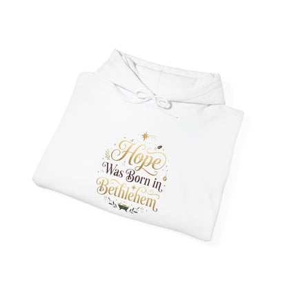 Hope Was Born in Bethlehem Hoodie