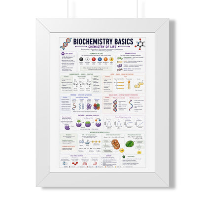 Biochemistry Basics Framed Poster — Chemistry of Life Study Guide