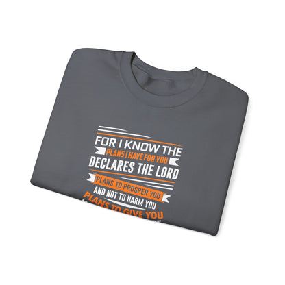 For I Know the Plans I Nave for You Declares the Lord Plans to Prosper You and Not to Harm You Plans to Give You Hope and a Future Sweatshirt