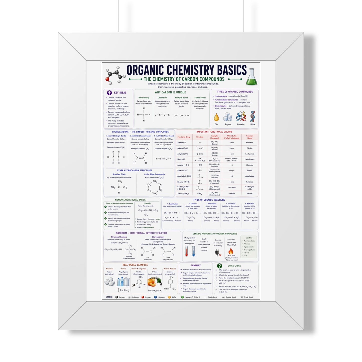 Organic Chemistry Basics Framed Poster — Study Reference Chart for Students