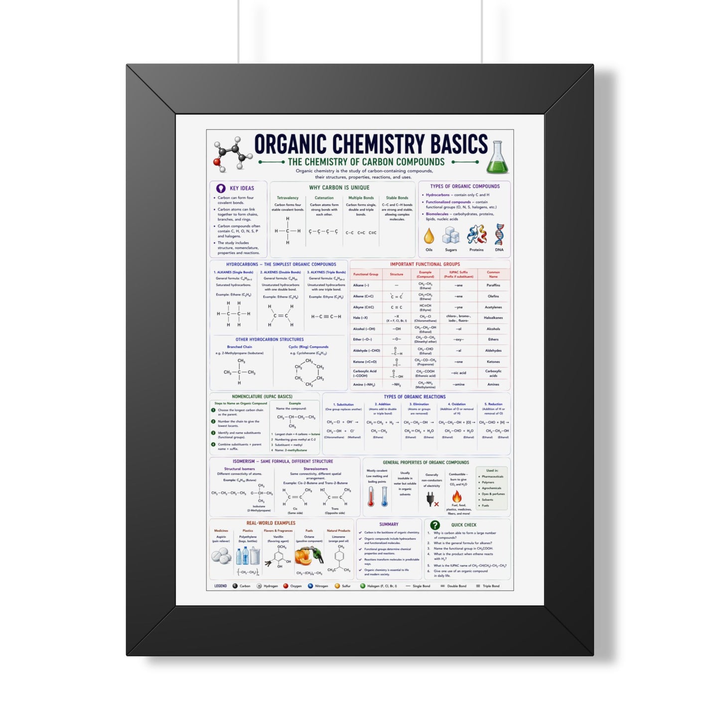 Organic Chemistry Basics Framed Poster — Study Reference Chart for Students