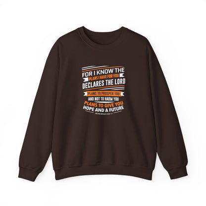 For I Know the Plans I Nave for You Declares the Lord Plans to Prosper You and Not to Harm You Plans to Give You Hope and a Future Sweatshirt