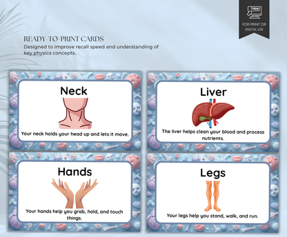 Body Parts Flashcards | Printable Human Anatomy Study Cards PDF for Kids & Students