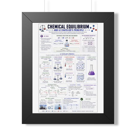 Chemical Equilibrium Poster — Framed Educational Chemistry Print