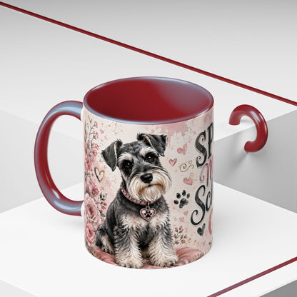 Spoiled Miniature Schnauzer Club Accent Coffee Mug — Cute Dog Mom Gift
