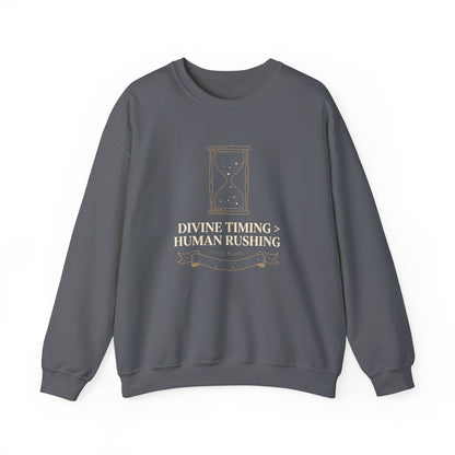 Divine Timing Human Rushing  Sweatshirt