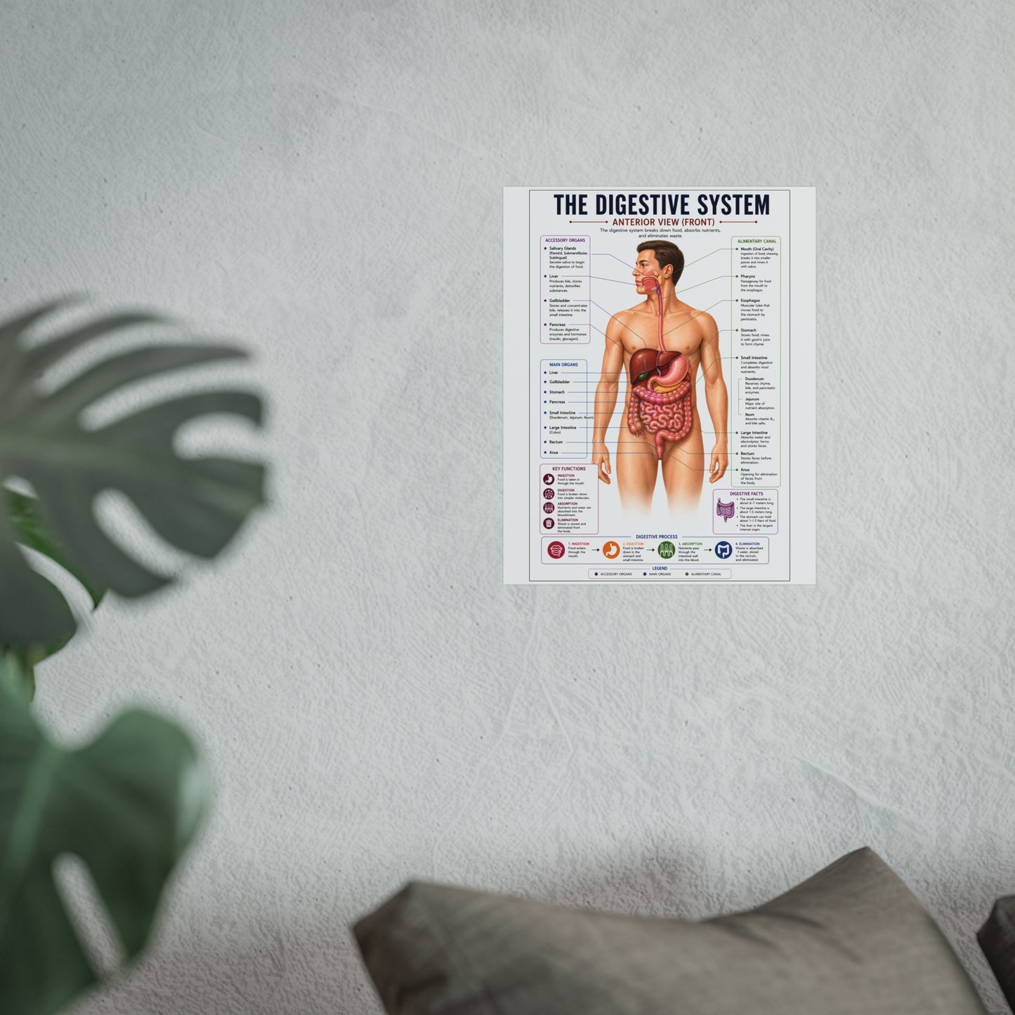Fine Art Posters