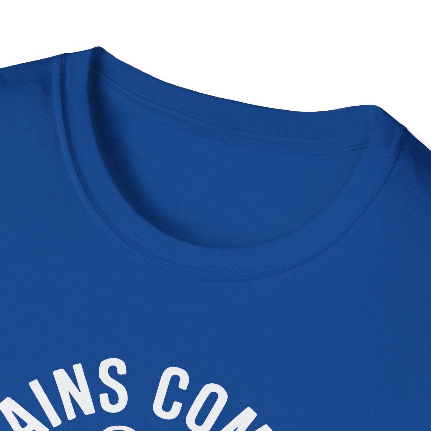 Brains Come in All Patterns T-Shirt