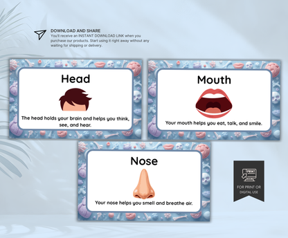 Body Parts Flashcards | Printable Human Anatomy Study Cards PDF for Kids & Students
