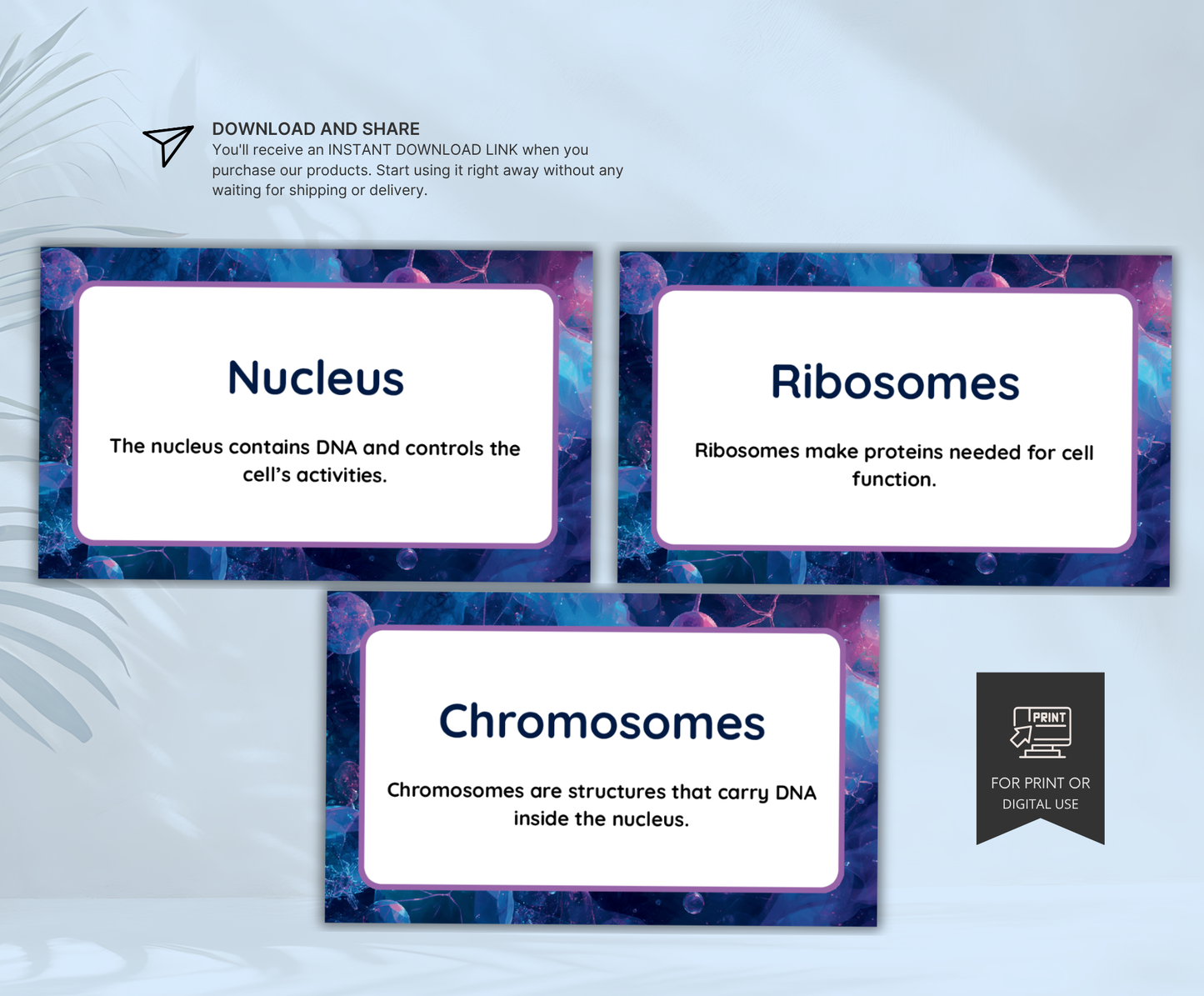 Biology Flashcards | Printable Study Cards PDF for Students & Exam Prep
