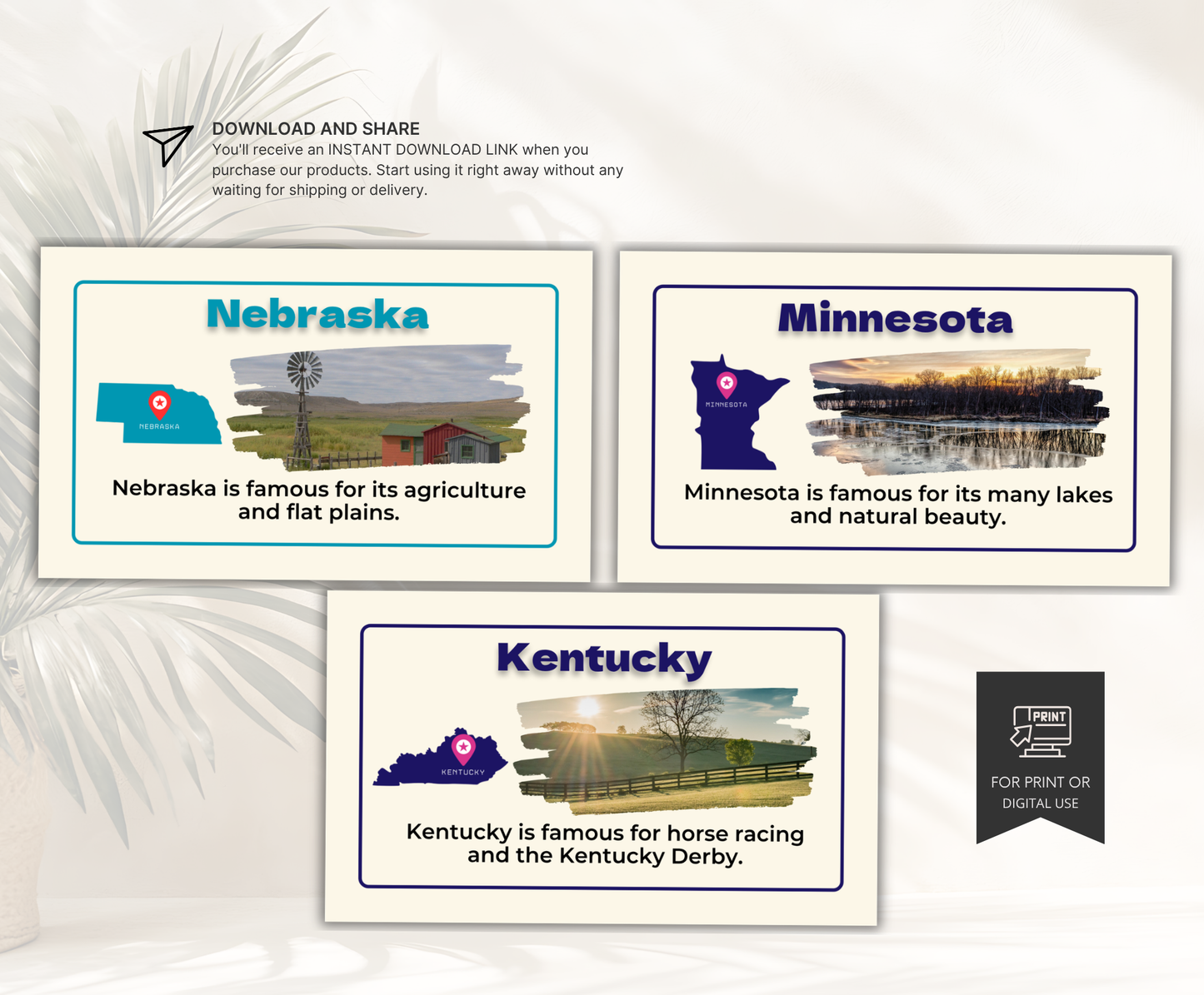 US States Flashcards | Printable Geography Study Cards PDF for Kids & Students