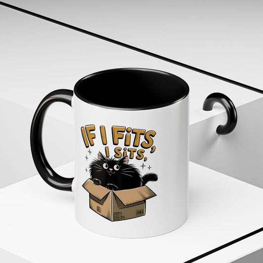 If I Fits I Sits Cat Mug — Funny Black Cat in Box Coffee Cup (11/15oz)