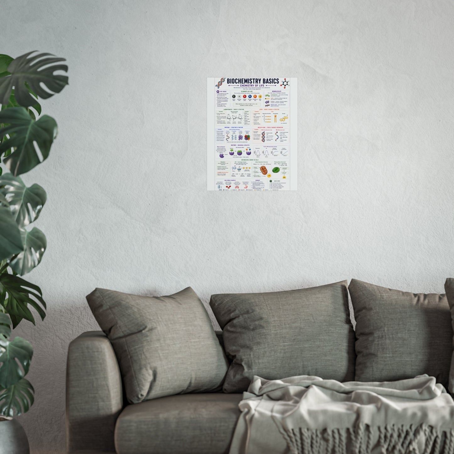 Biochemistry Basics Fine Art Poster — Chemistry of Life Educational Wall Art