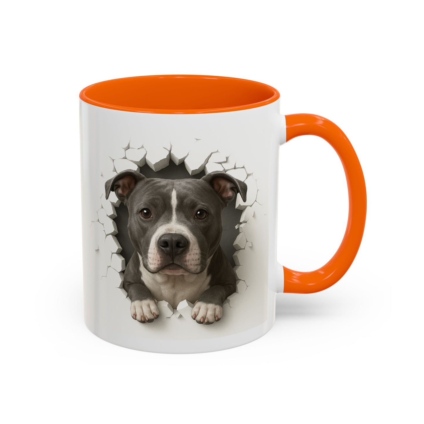 Accent Coffee Mug (11, 15oz)