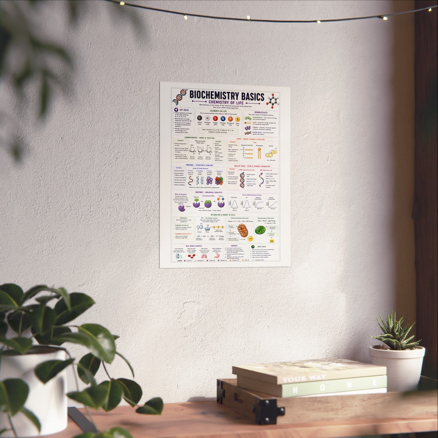 Biochemistry Basics Fine Art Poster — Chemistry of Life Educational Wall Art