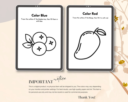 Kindergarten Colors Workbook | Printable Color Recognition & Learning Activities for Kids
