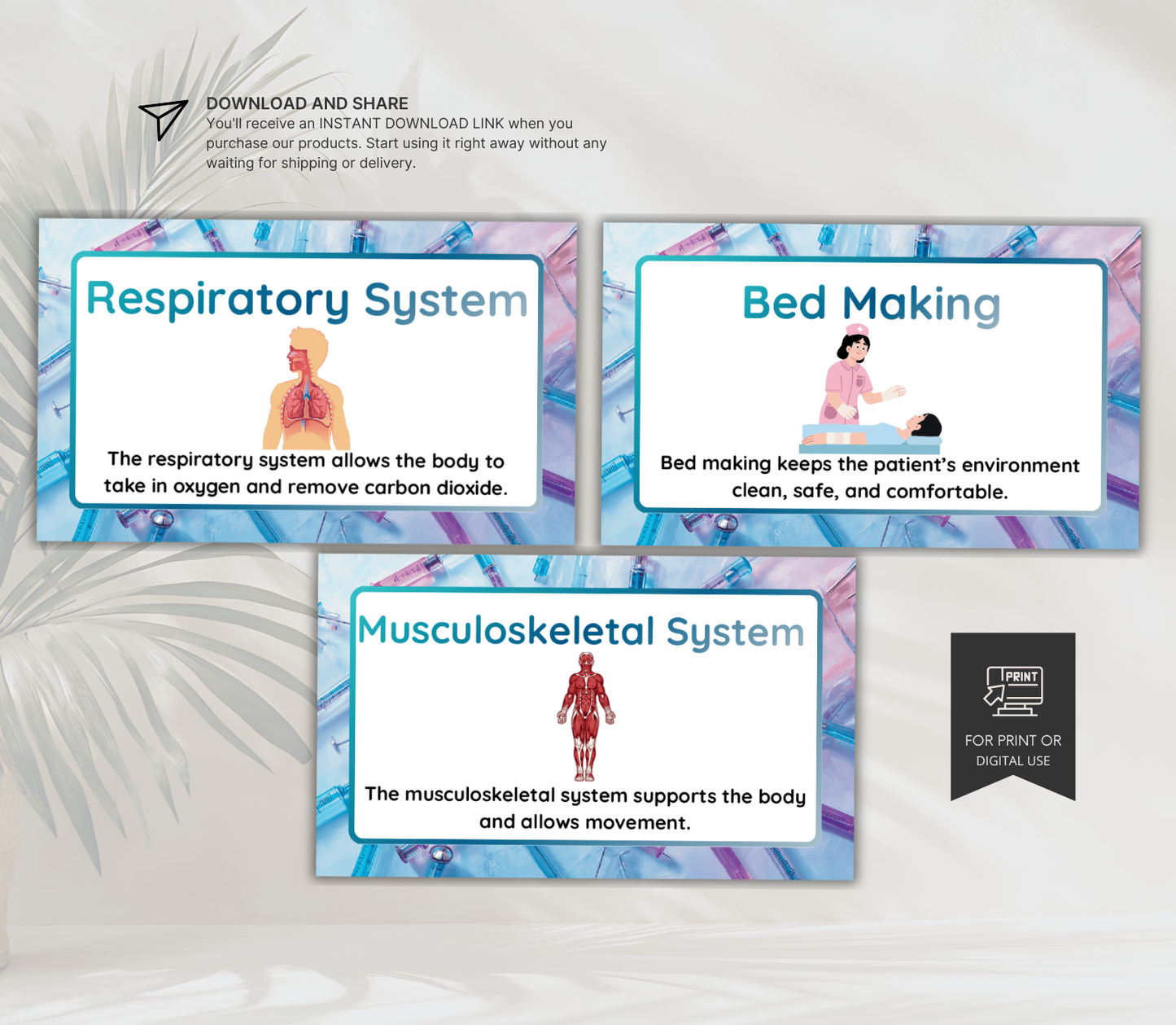 Nursing Flashcards Bundle | Printable NCLEX Study Cards PDF for Nursing Students