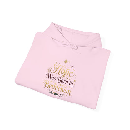 Hope Was Born in Bethlehem Hoodie