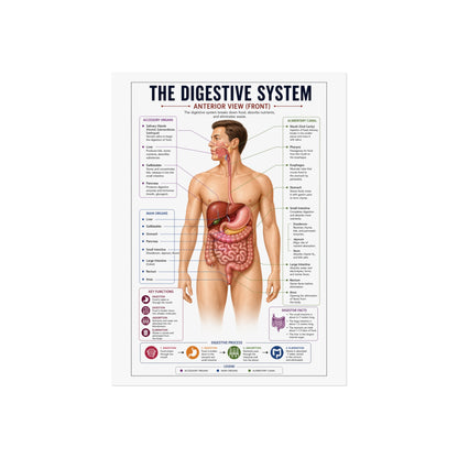 Fine Art Posters