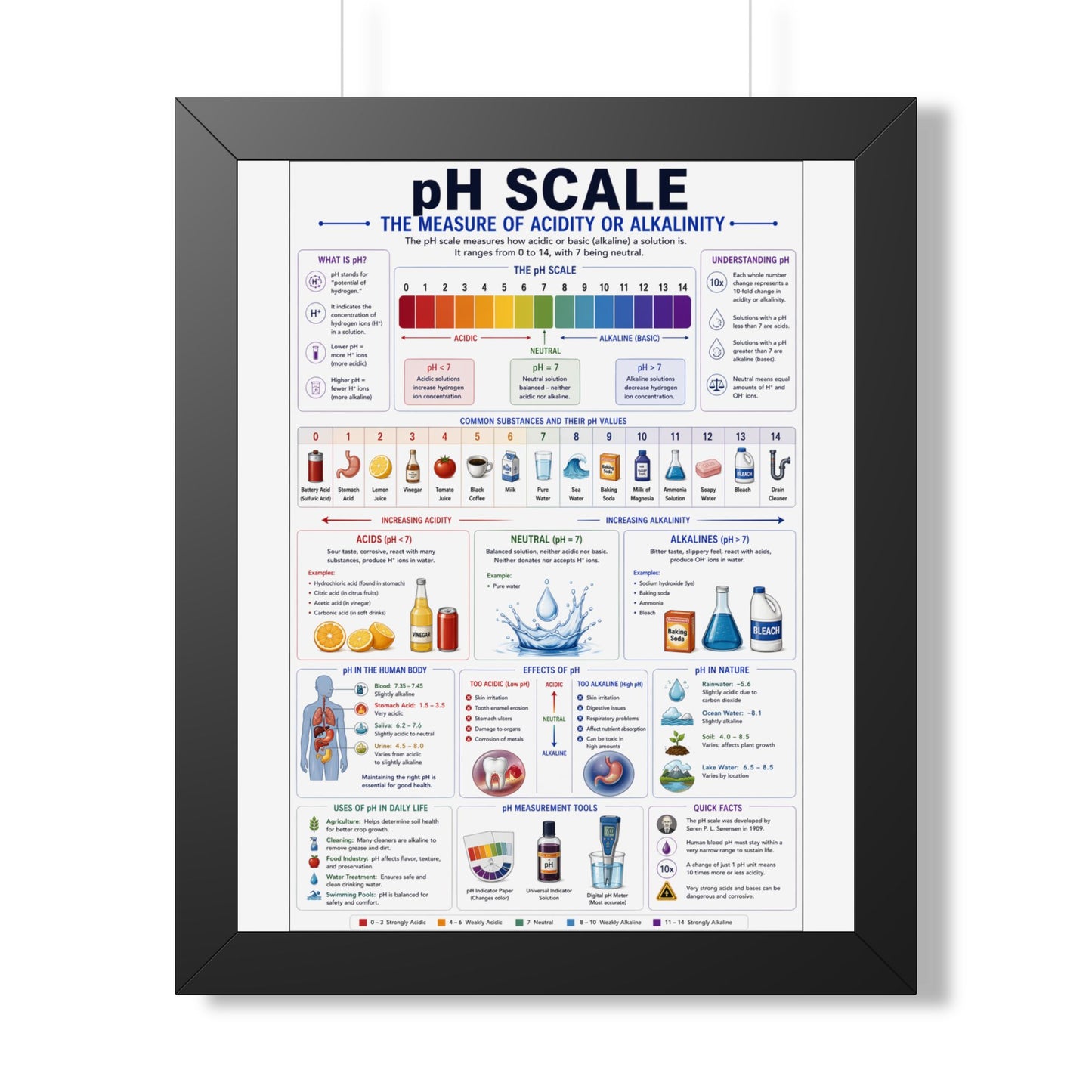 Framed Vertical Poster