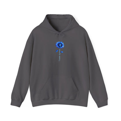 Diabetes Awareness Hoodie