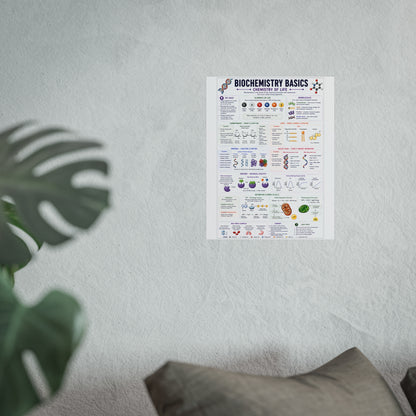 Biochemistry Basics Fine Art Poster — Chemistry of Life Educational Wall Art