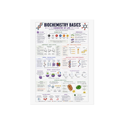 Biochemistry Basics Fine Art Poster — Chemistry of Life Educational Wall Art