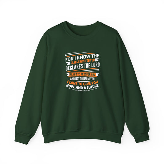 For I Know the Plans I Nave for You Declares the Lord Plans to Prosper You and Not to Harm You Plans to Give You Hope and a Future Sweatshirt