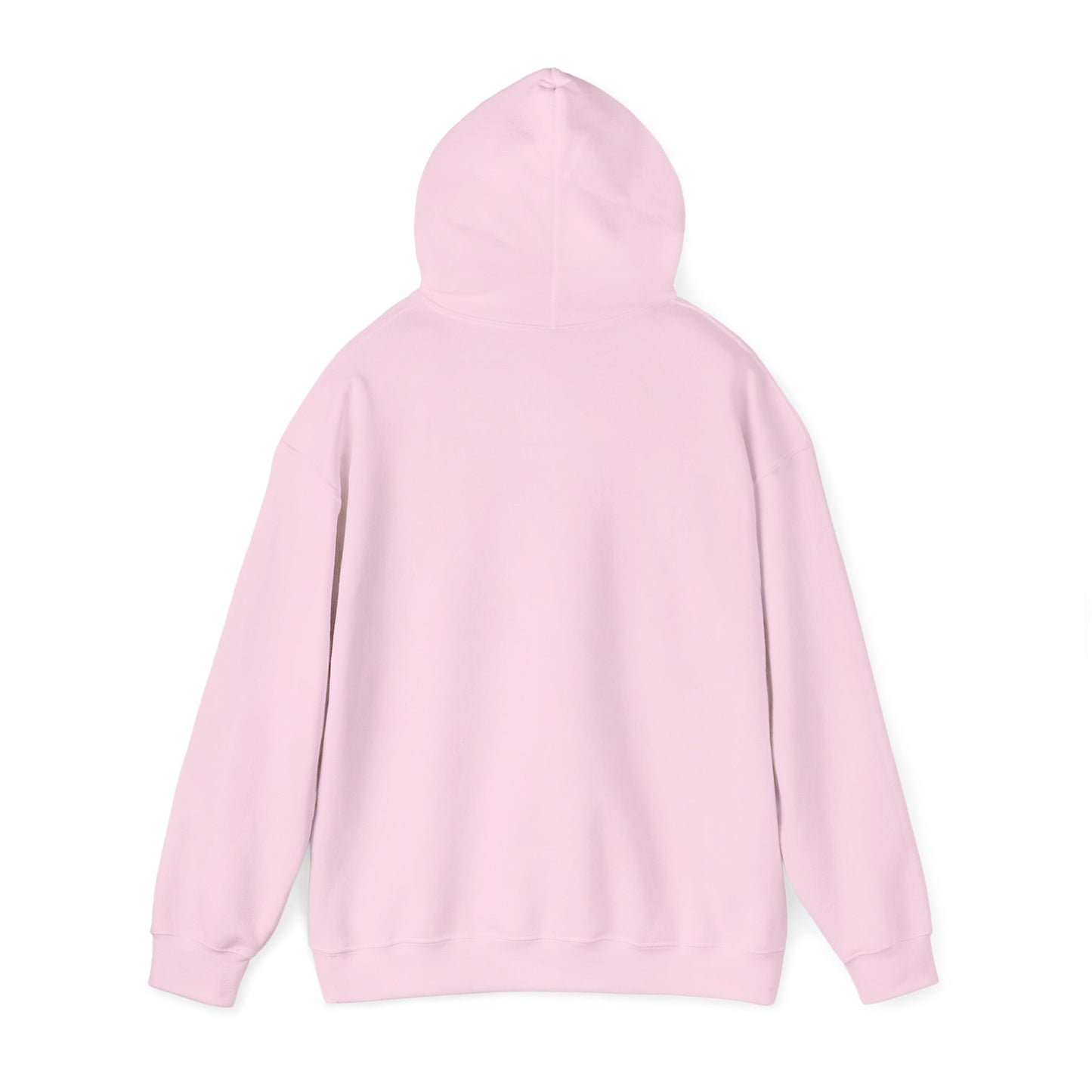 Wisdom and Theology Hoodie – Dove & Book Christian Faith Sweatshirt