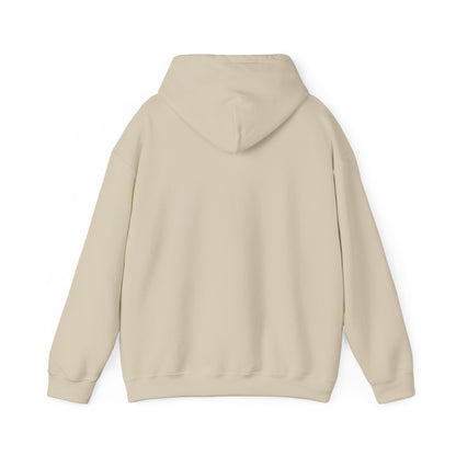 Wisdom and Theology Hoodie – Dove & Book Christian Faith Sweatshirt