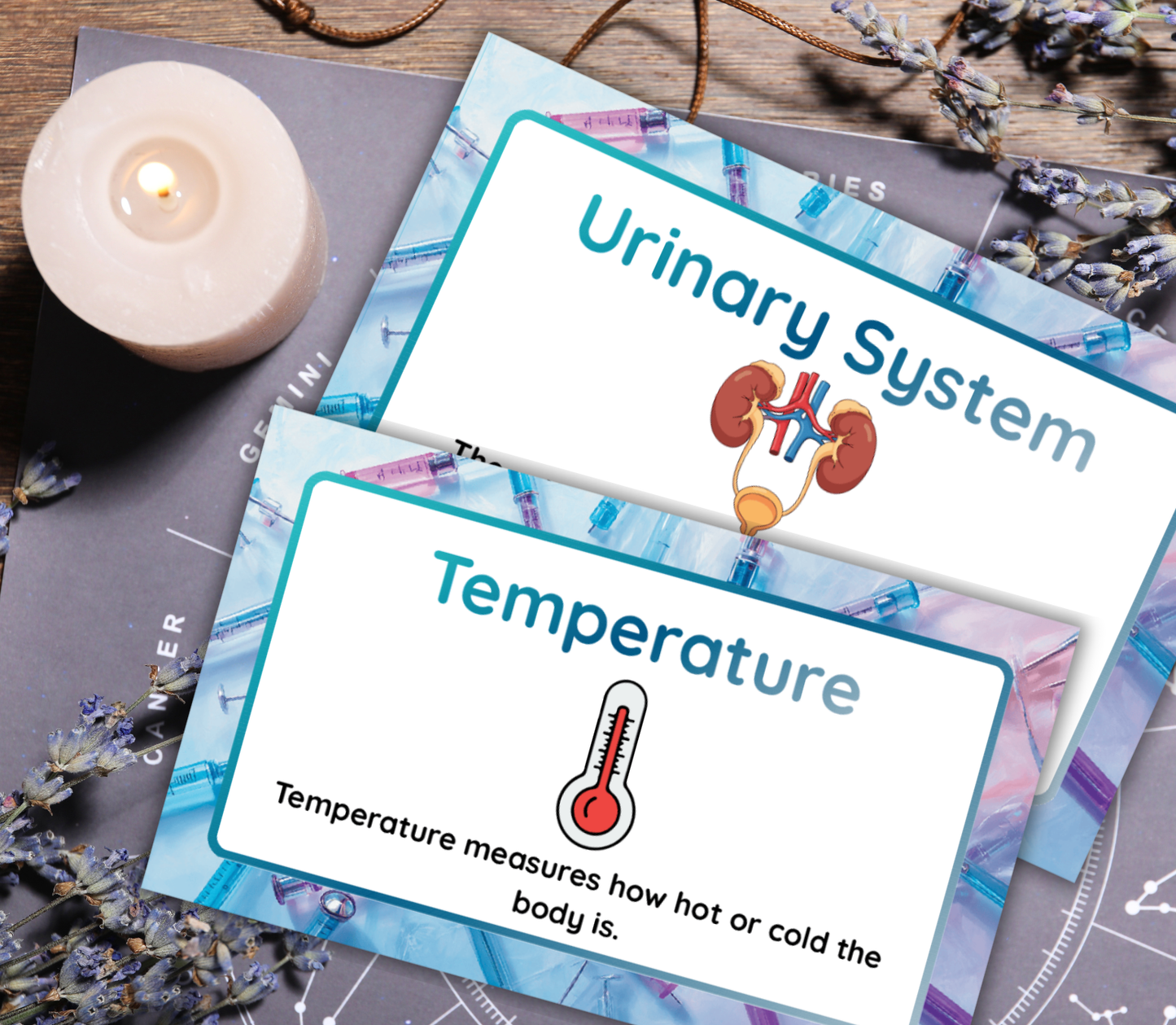 Nursing Flashcards Bundle | Printable NCLEX Study Cards PDF for Nursing Students