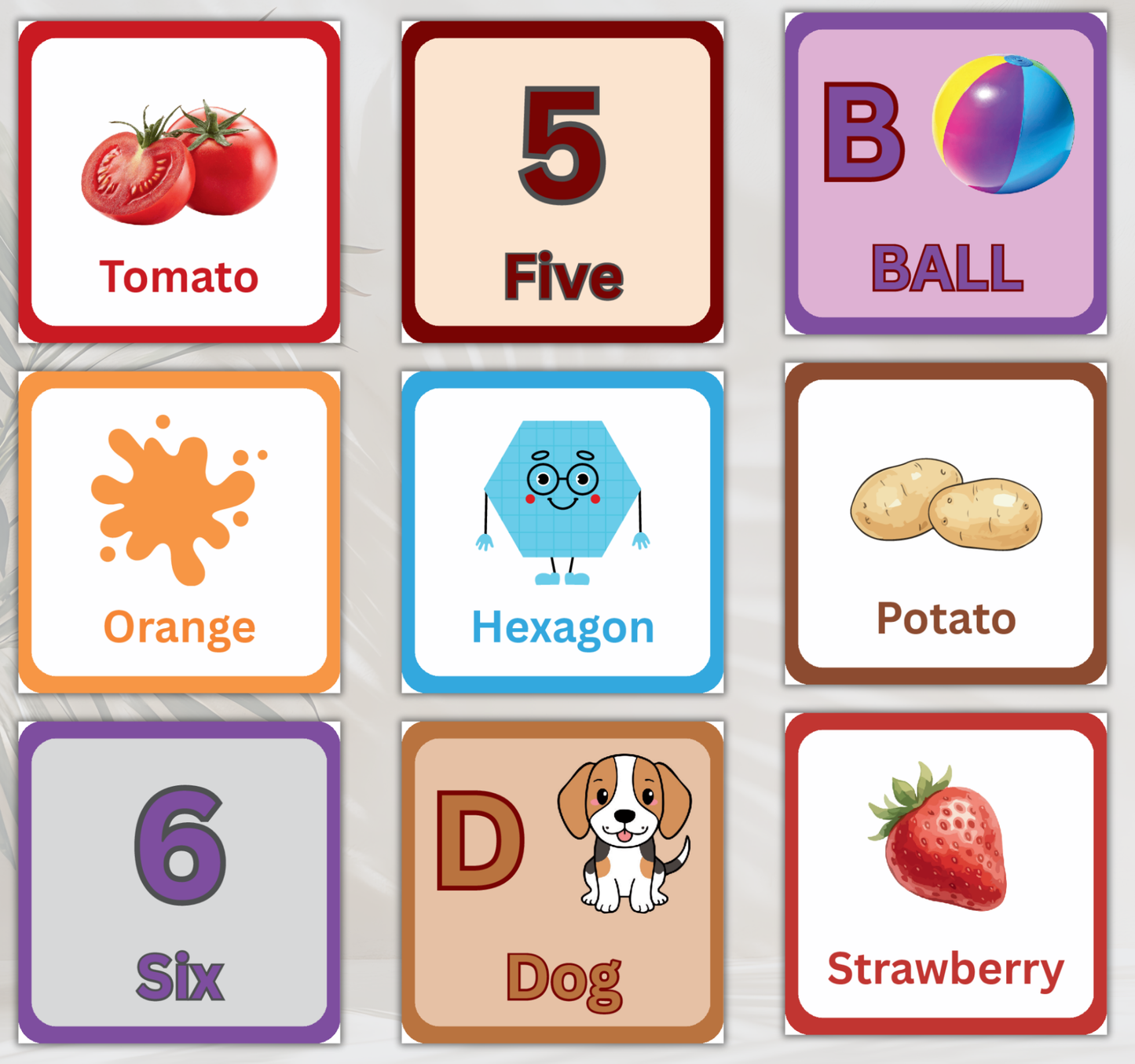Little Learners Flashcards Bundle | Printable Preschool & Kids Study Cards PDF