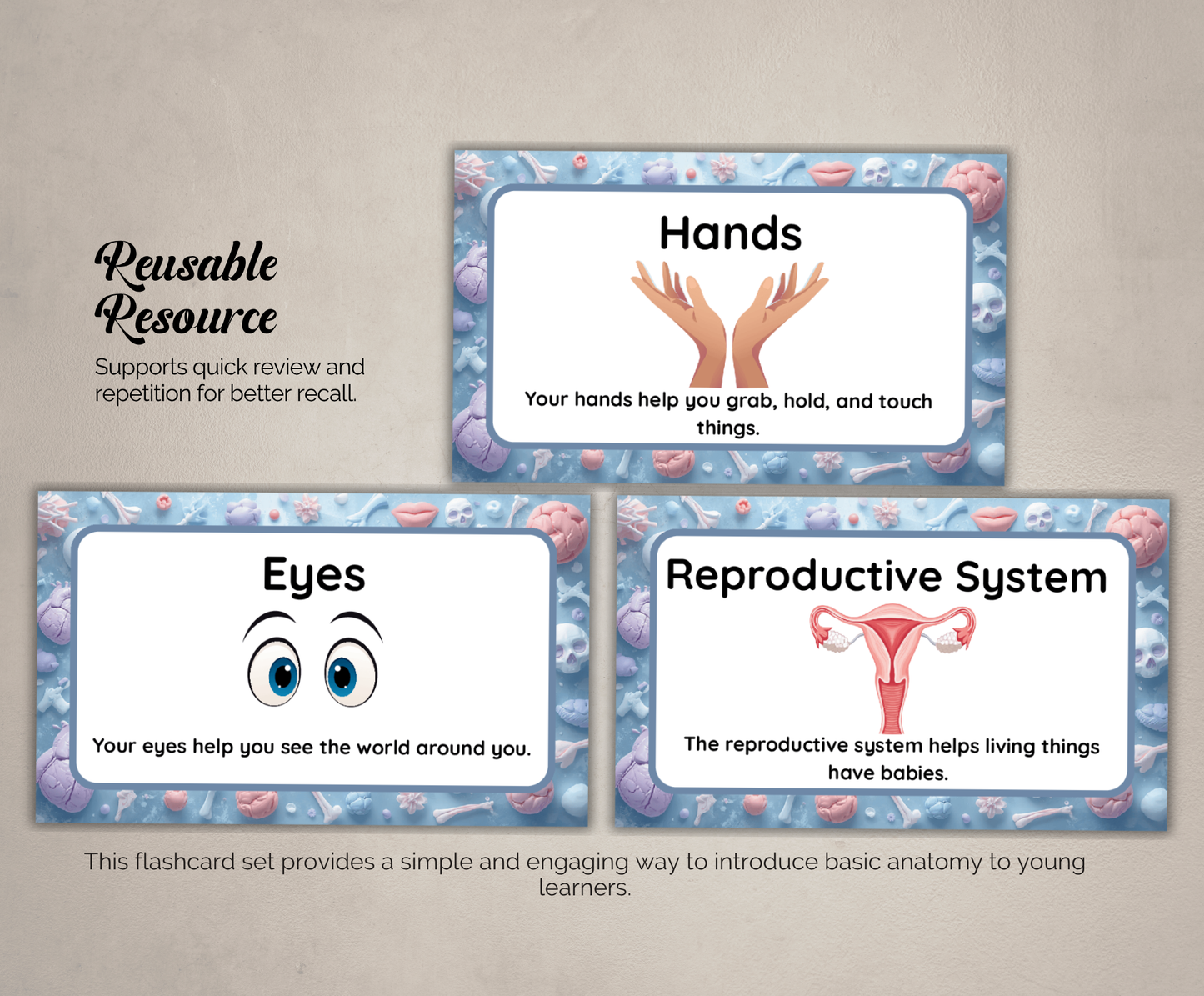 Body Parts Flashcards | Printable Human Anatomy Study Cards PDF for Kids & Students