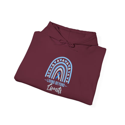 Living Beyond Limits Hoodie