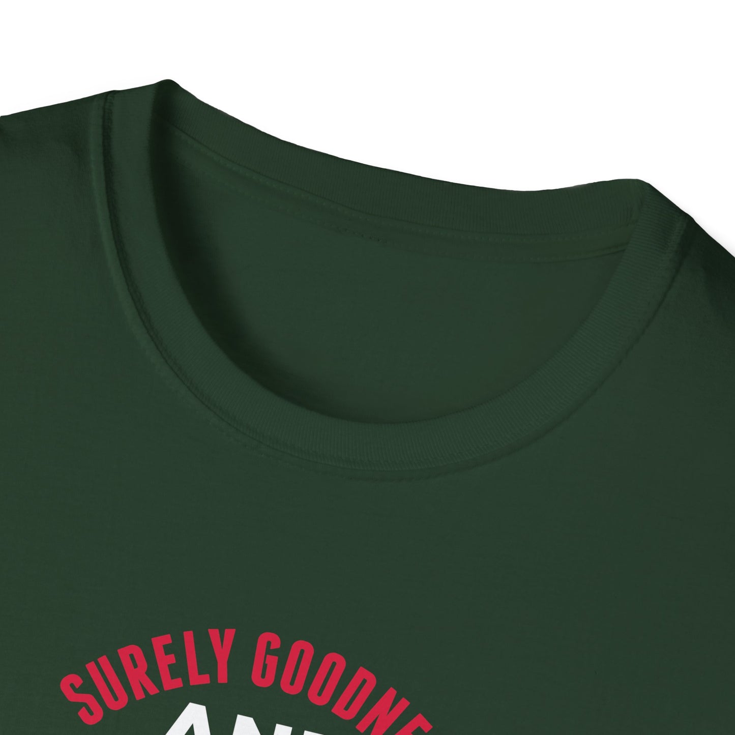 Surely Goodness and Mercy Shall Follow Me Until the End of Time T-Shirt