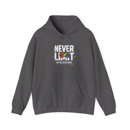 Never Limt Autism Acceptance Hoodie