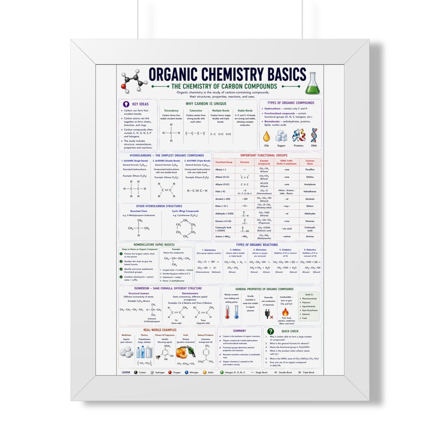 Organic Chemistry Basics Framed Poster — Study Reference Chart for Students