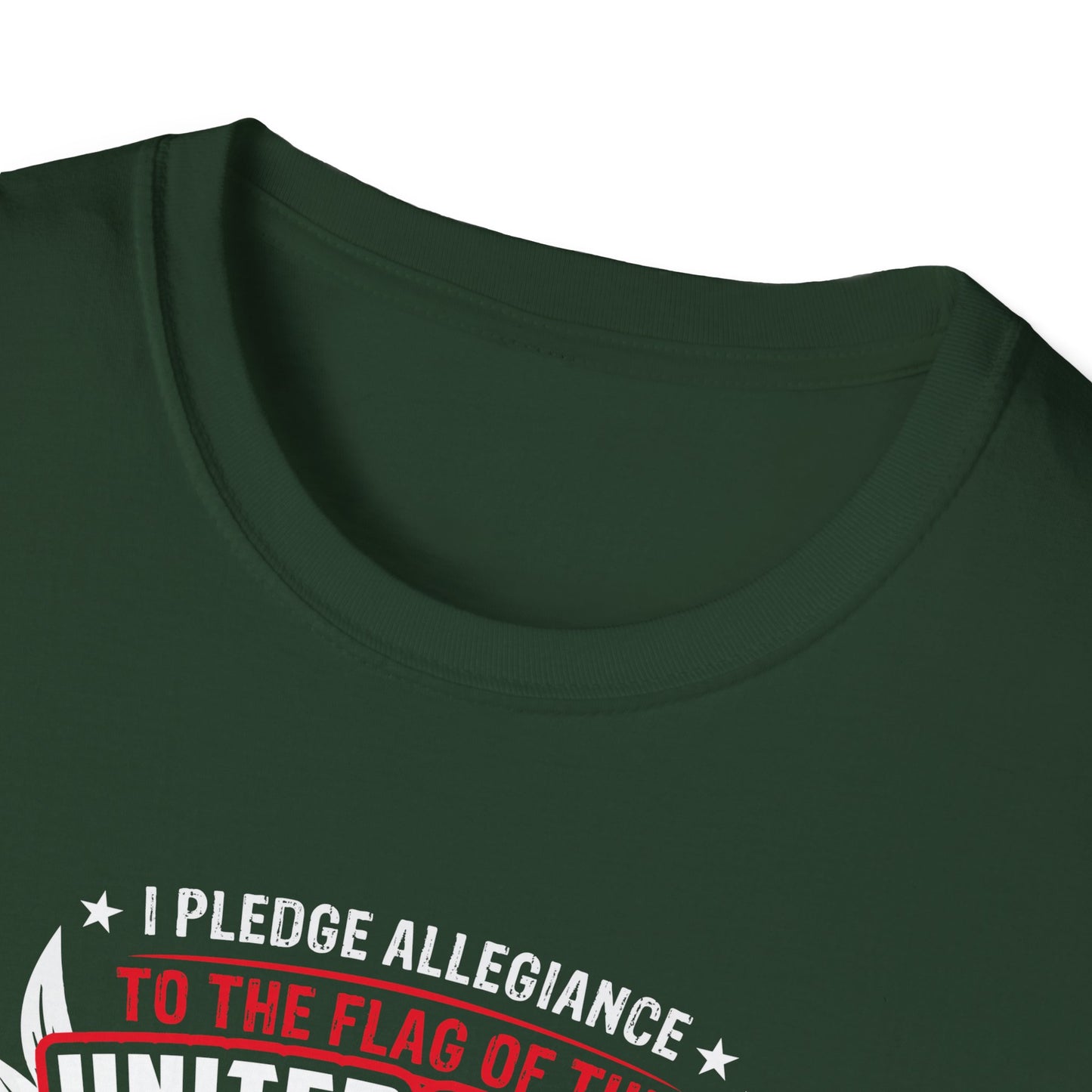 I Pledge Allegiance To the Flag of the of America The Reporlic for Which It Stands One Nation Under God Indivisible  With Liberty and Justice for All T-Shirt