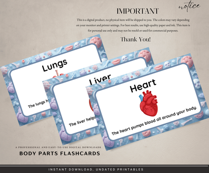 Body Parts Flashcards | Printable Human Anatomy Study Cards PDF for Kids & Students