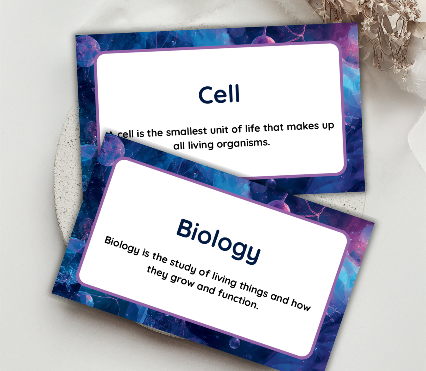 Science Series Flashcards Bundle | Printable Biology, Chemistry & Physics Study Cards PDF