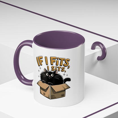 If I Fits I Sits Cat Mug — Funny Black Cat in Box Coffee Cup (11/15oz)