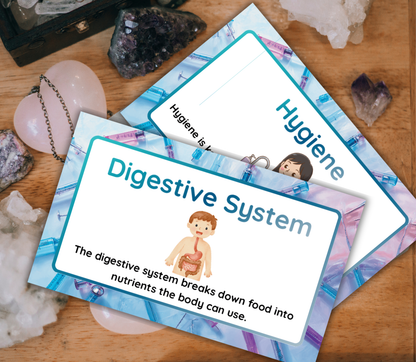 Nursing Flashcards Bundle | Printable NCLEX Study Cards PDF for Nursing Students