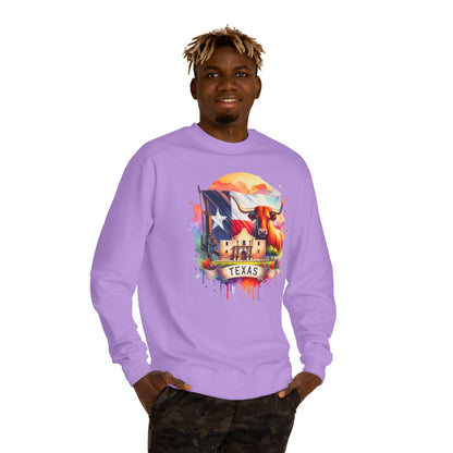 Texas Watercolor Flag Sweatshirt — Longhorn & Alamo Graphic