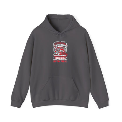 I Pledge Allegiance To the Flag of the of America The Reporlic for Which It Stands One Nation Under God Indivisible With Liberty and Justice for All Hoodie
