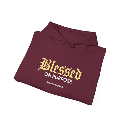 Blessed On Purpose Hoodie
