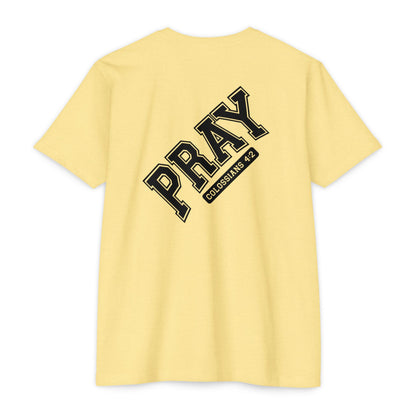 Pray Colossians 4:2 Christian T-Shirt — Faith Prayer Tee