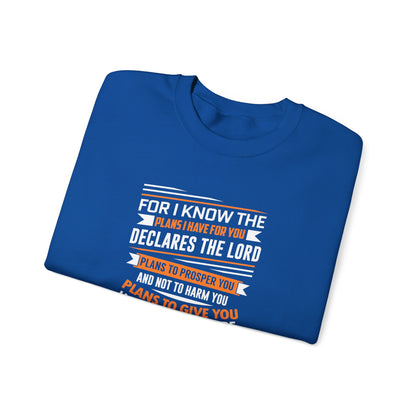 For I Know the Plans I Nave for You Declares the Lord Plans to Prosper You and Not to Harm You Plans to Give You Hope and a Future Sweatshirt